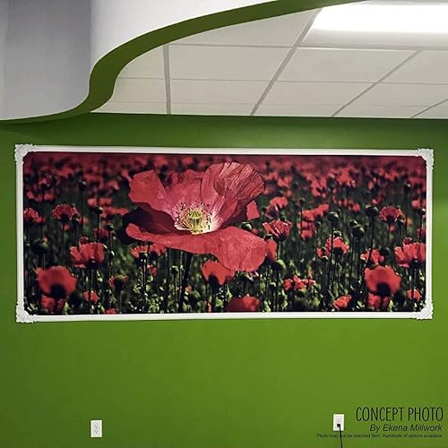 Miniatura 4 de Ekena Millwork PML08X08OX Oxford Esquina (Partes Moldeado PML02X00OX) Panel Moldura, 8 12"W x 8 12"H, Imprimado