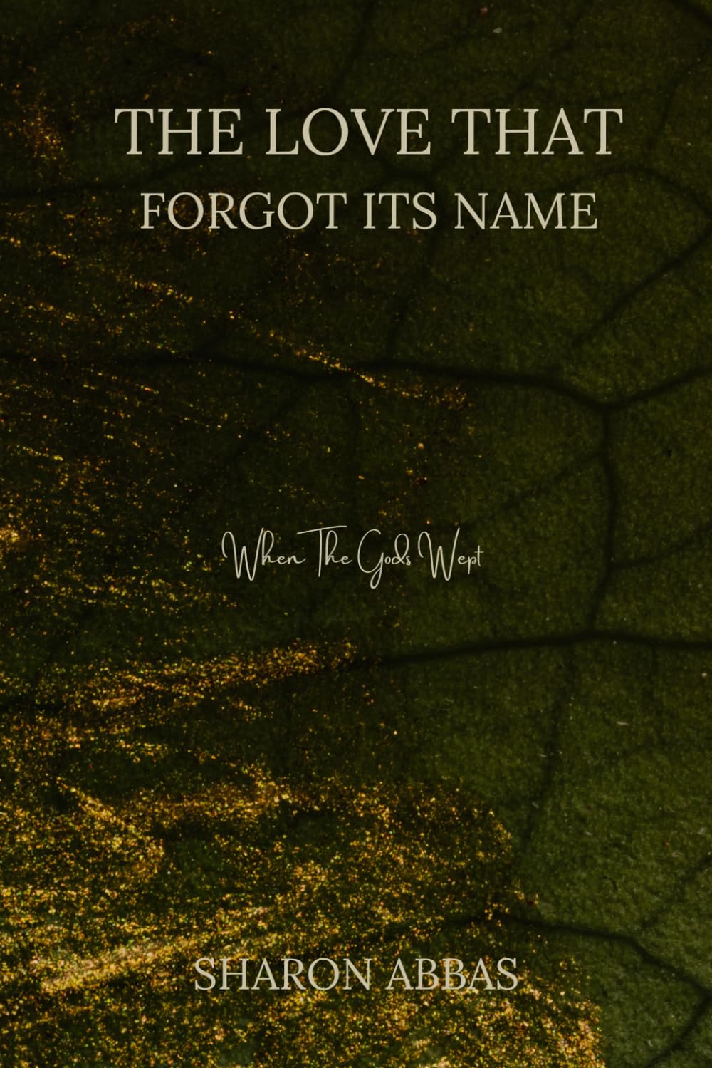 The Love That Forgot Its Name (When The Gods Wept): Romantic Fantasy Metaphysical Fiction