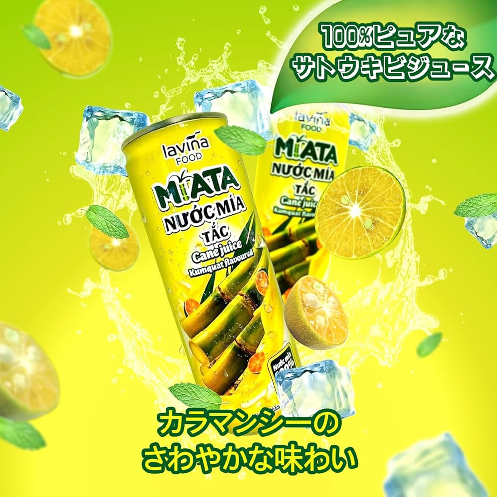 ジュース('92米) ゼログランド アウトペース III オール テレイン ランナー