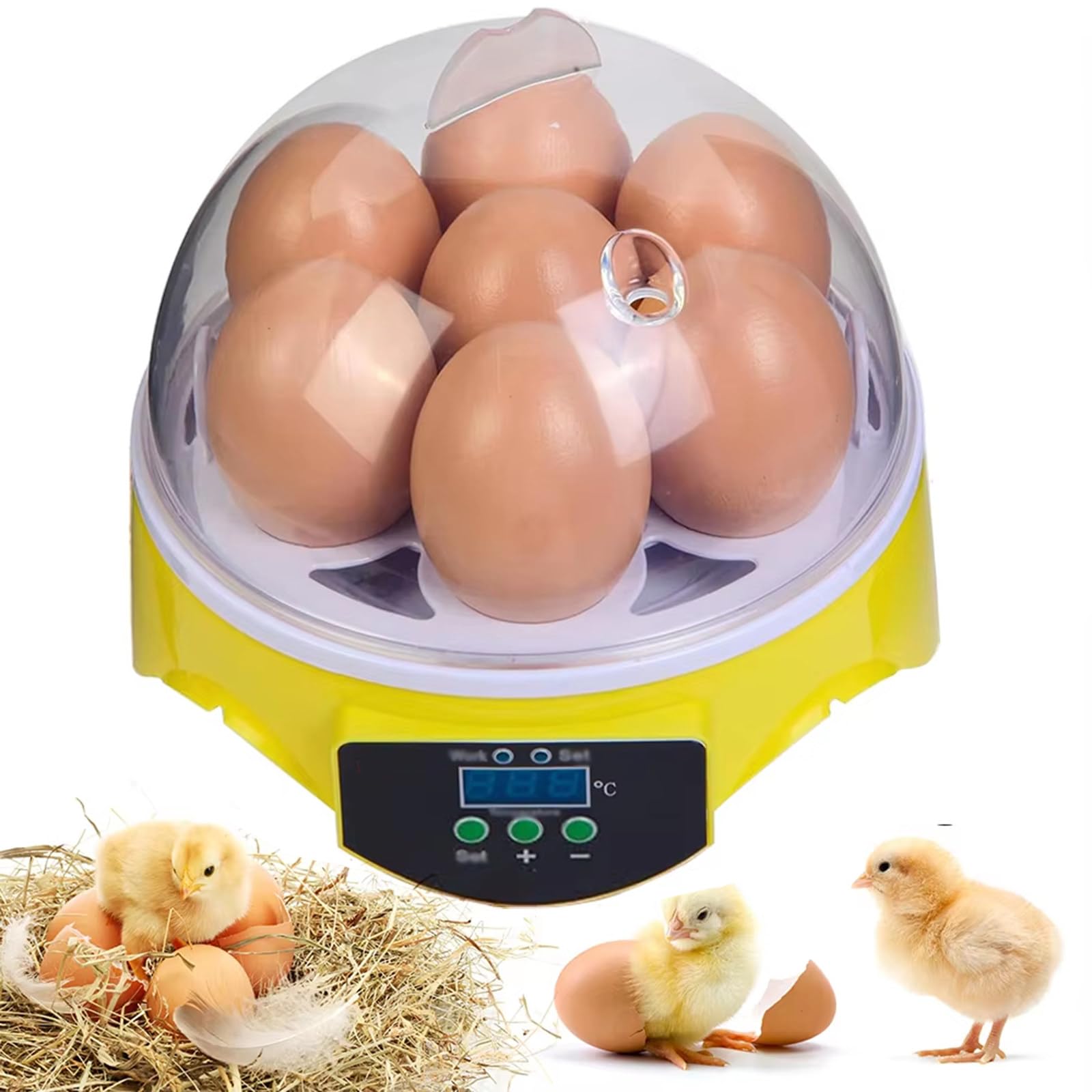 Incubatrici Per Uova Da Cova, Incubatrice Per 7 Uova, Incubatrice Per Uova Con Controllo Manuale Della Temperatura E Dell'Umidità, Per Polli, Anatre, Oche, Quaglie