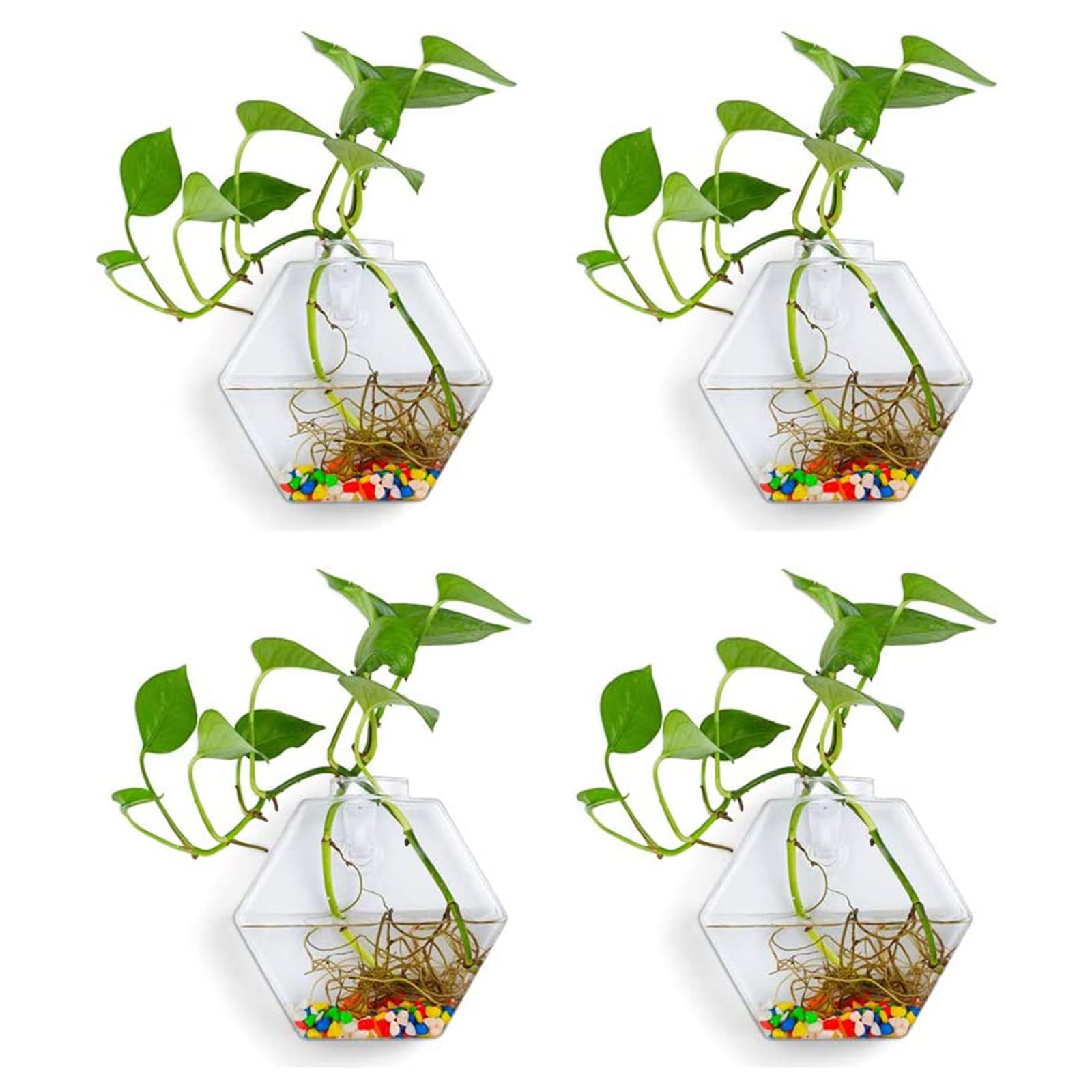 DEDEMCO 4 macetas de cristal para colgar en la pared, 13 x 13,5 cm, propagación de terrario de cristal, jarrones geométricos con forma hexagonal, macetas de aire colgantes para decoración del hogar y