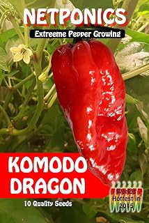 Super Hot Komodo Dragon Chilli Seeds. Worlds Hottest of 2015 (Pack of 10)