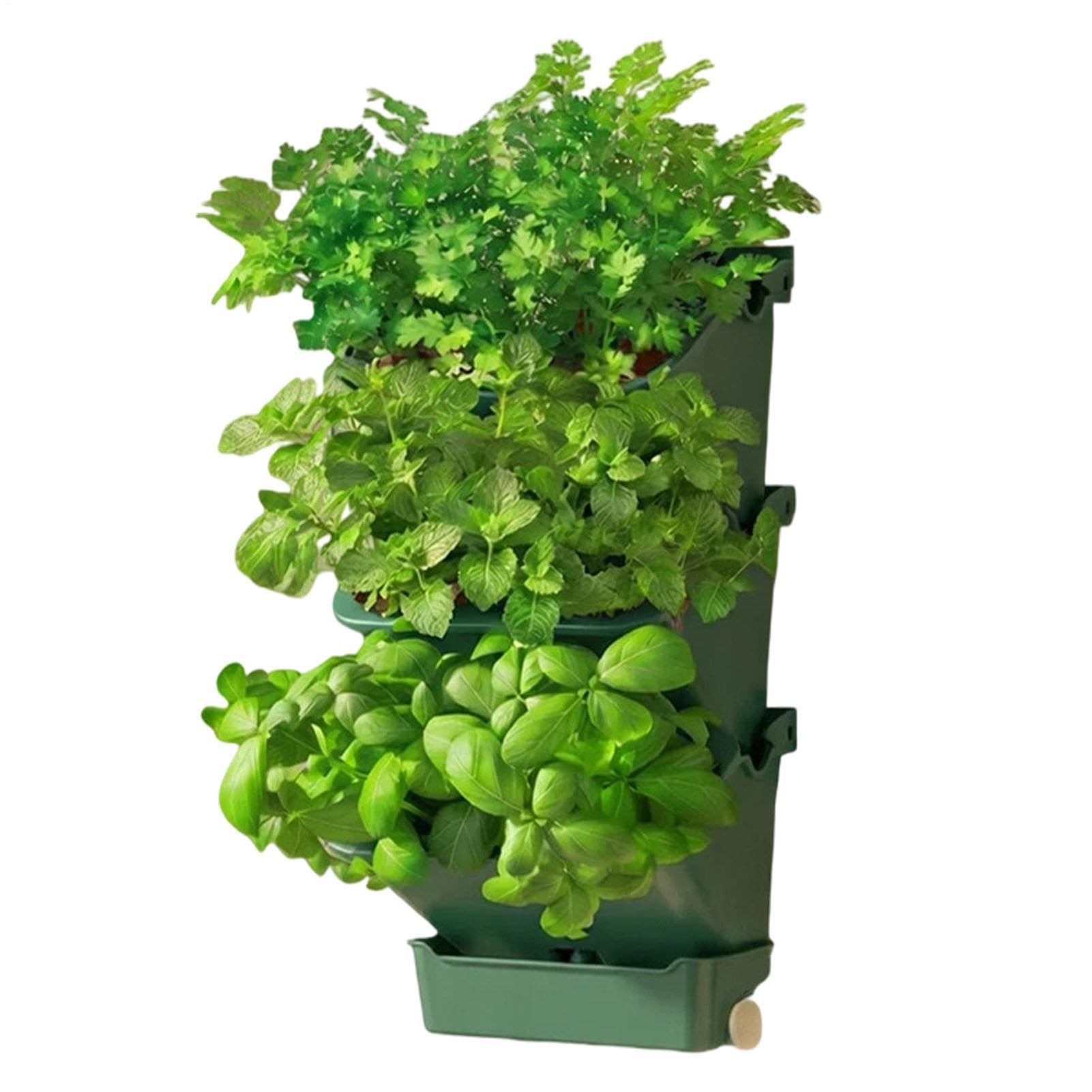Jardinière murale pour l'intérieur - Support vertical - Avec