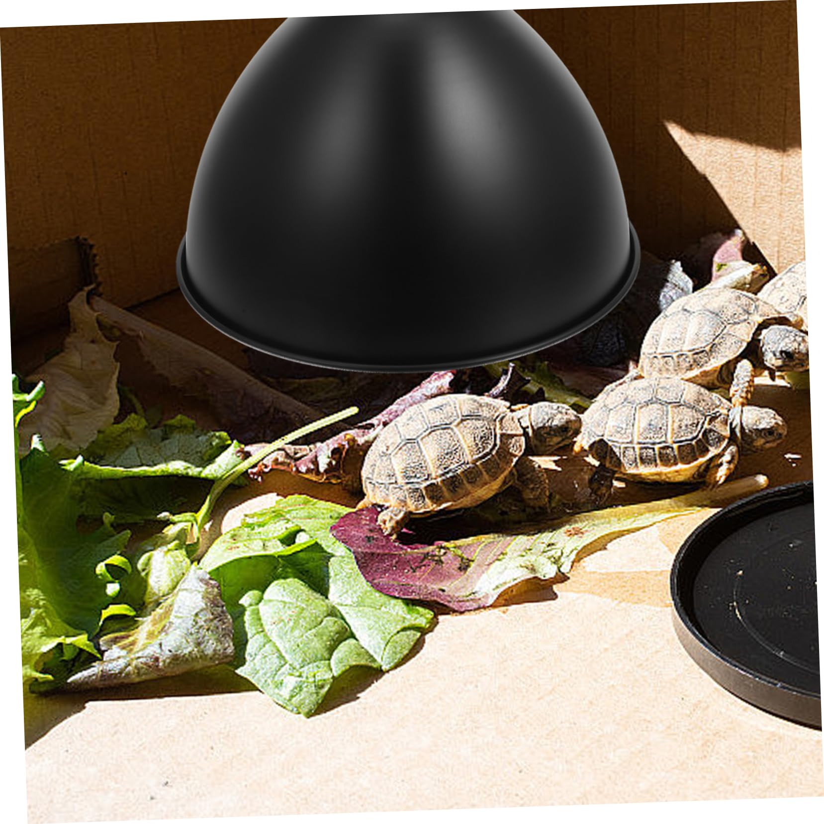TOPBATHY Scatola Da 4 Pezzi Paralume per rettili lampada riscaldante per lucertola Lampada UVB lampada di calore per rettili paralume riscaldante rete per lampade per rettili ferro da stiro