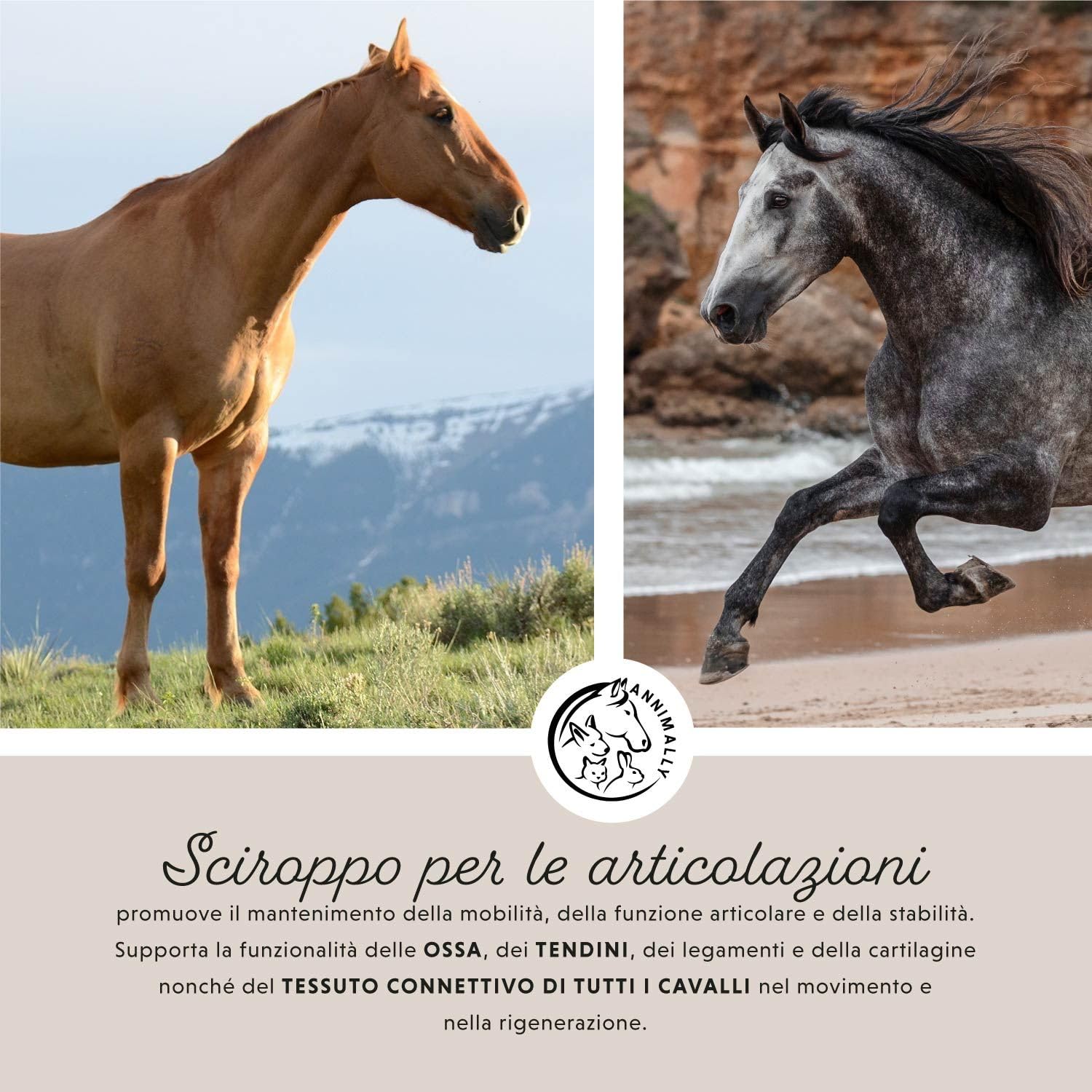 Liquido articolazioni per cavalli 1000ml con artiglio del diavolo cavallo, glucosamina e MSM cavallo (zolfo) liquido- Per il rafforzamento delle articolazioni del cavallo- msm integratore per cavalli