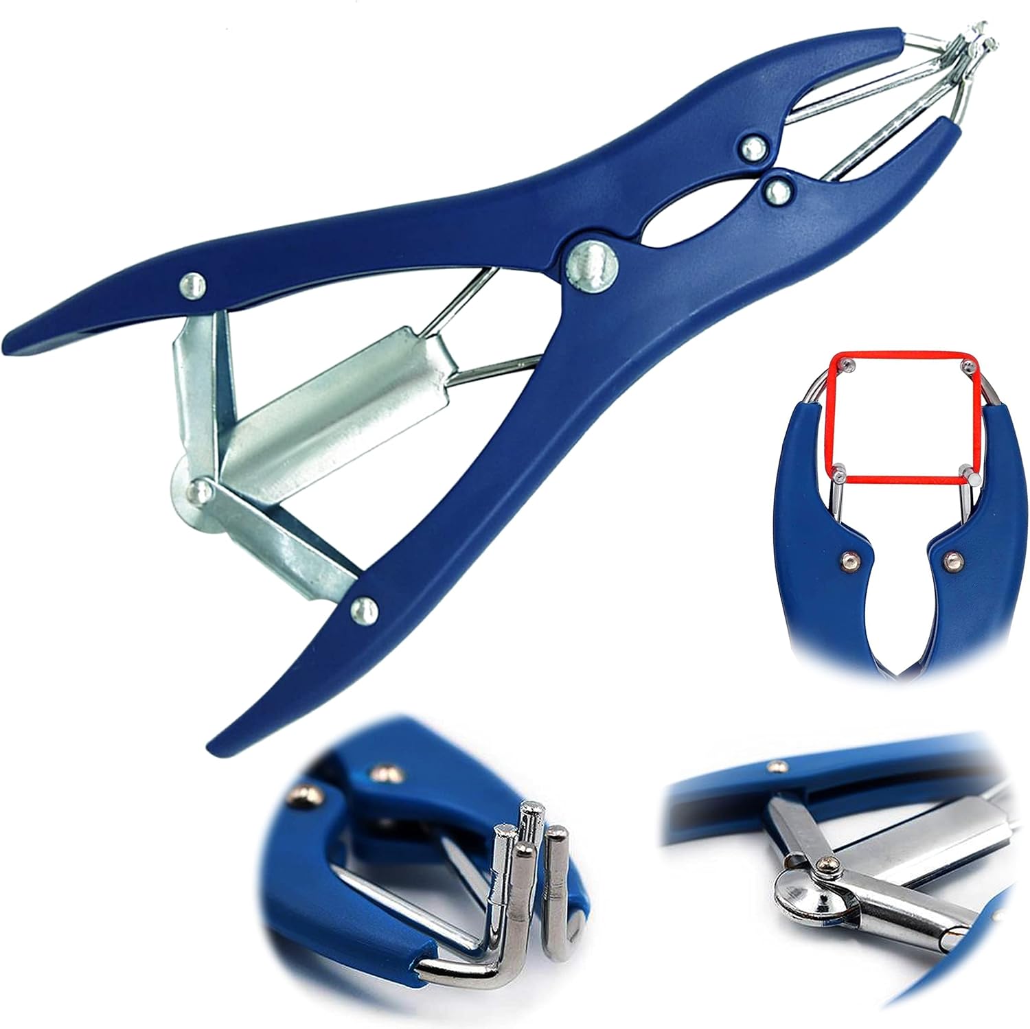 OdontoMed2011 ELASTRATOR PLIER, LENGTH 8.5 BLUE HANDLE ODM