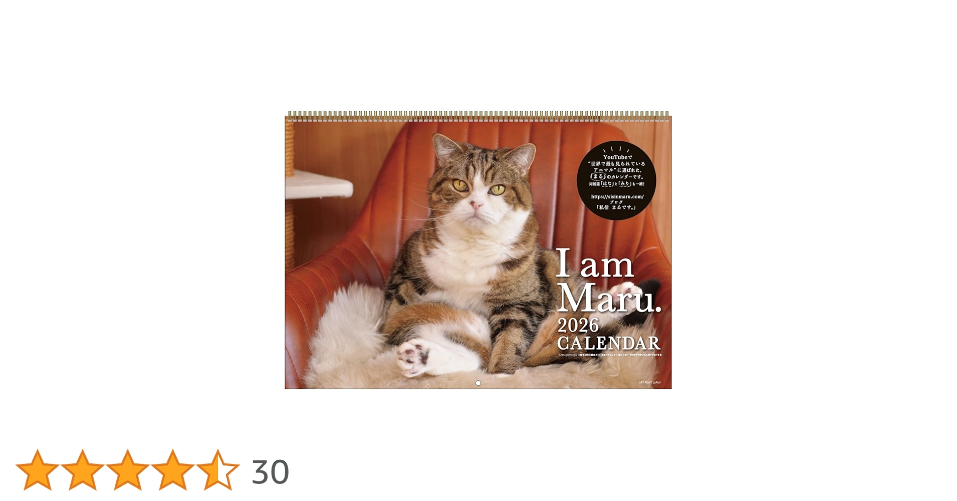 maruさま2026 2026年1月始まり 図案お絵描きカレンダー | 製品情報 | Maruman