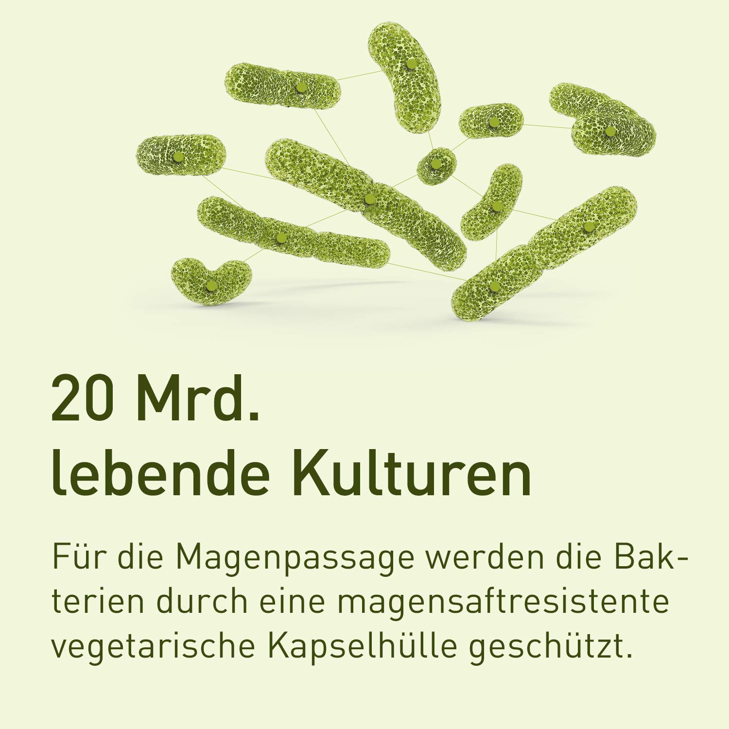 Nupure Probaflor 90-90 cápsulas + Inulina - 11 cepas - Gastrorresistente - Complejo de cultivo con bacterias ácido lácticas y bifidobacterias - Suministro para 3 meses