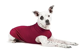 Gold Paw Stretch Fleece Dog Coat - Garnet Size 10