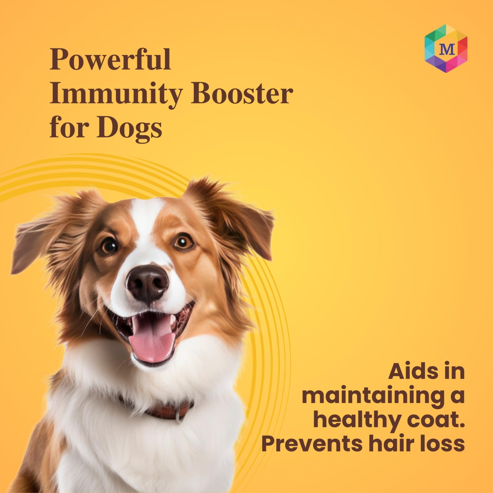 Medfly Healthcare Goat Milk + Multivitamin + Colostrum (Immunity Booster) for Dogs | Essentials Vitamins & Minerals for Immunity Booster, Bones, Skin, Hair & Gut Health for Dogs - Pack of 15 Sachets 3