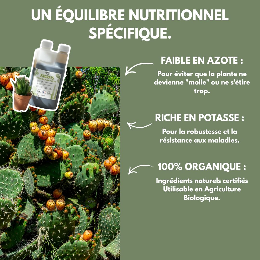 Engrais Liquide Cactus et Succulentes - 500ml - Made In France - 100% bio