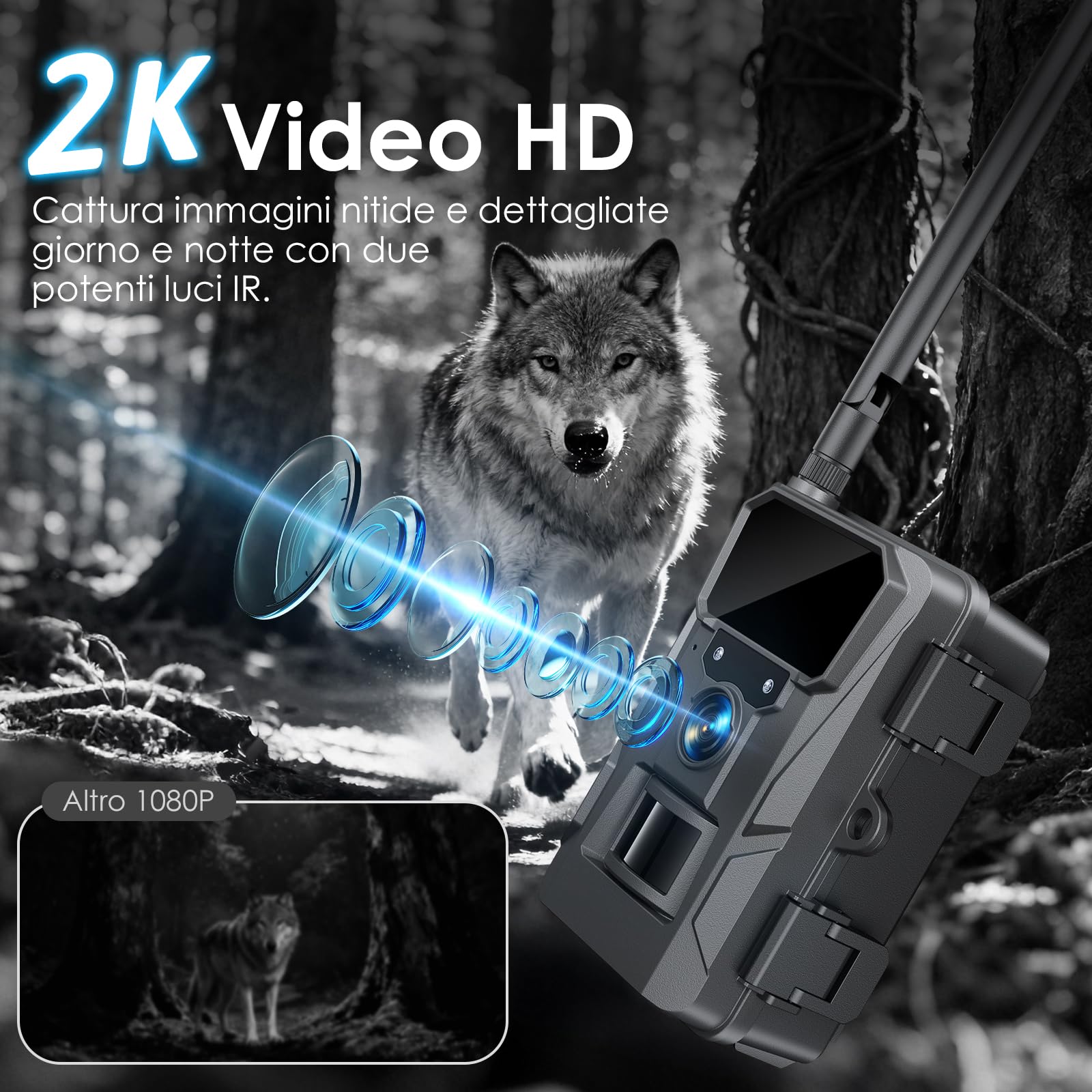 WOLFANG Fototrappola 4G LTE Solare 2K con Scheda SIM e 64GB SD, Visione Notturna, IP66, Nero
