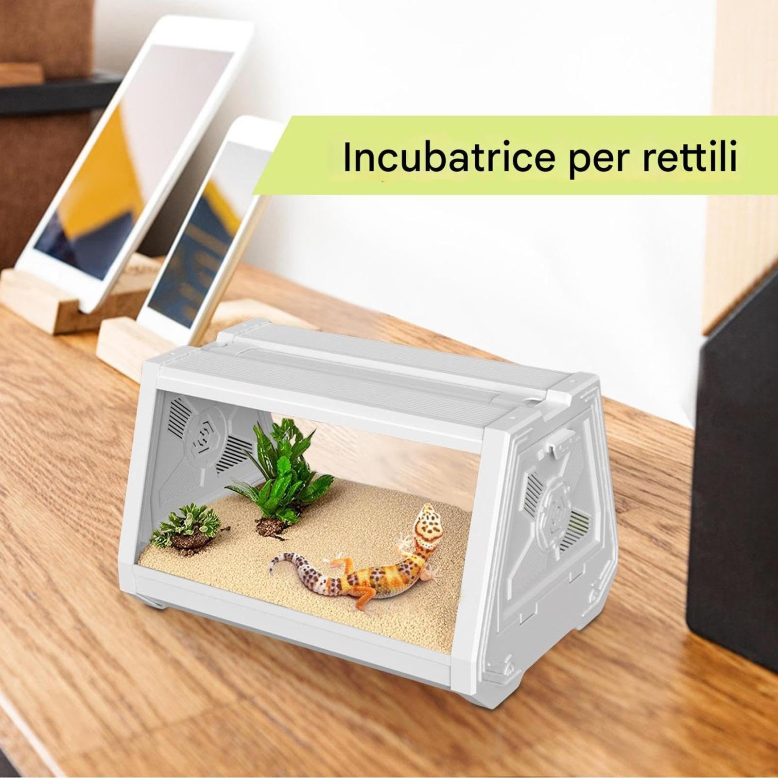 Terrario per rettili - Contenitore di visualizzazione espanso per Habitat G | Recinzione sicura ventilata con pannelli di visualizzazione trasparenti per gechi, lucertole, anfibi, alimentazione e cura qu