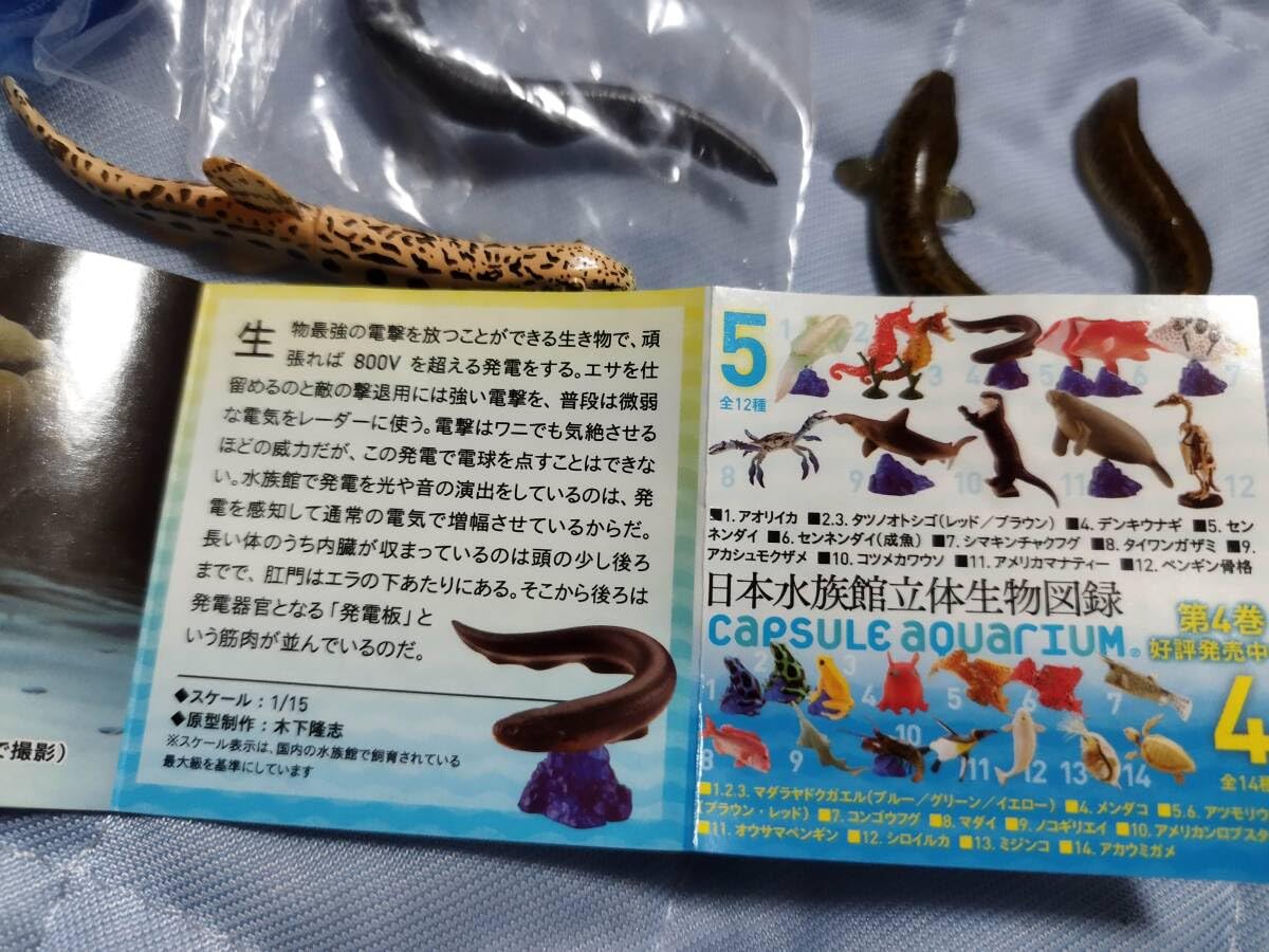 【秋の収穫祭】日本水族館立体生物図録 第4巻〈全14種〉フルコンプリート 秋の収穫祭】日本水族館立体生物図録 第4巻〈全14種〉フル