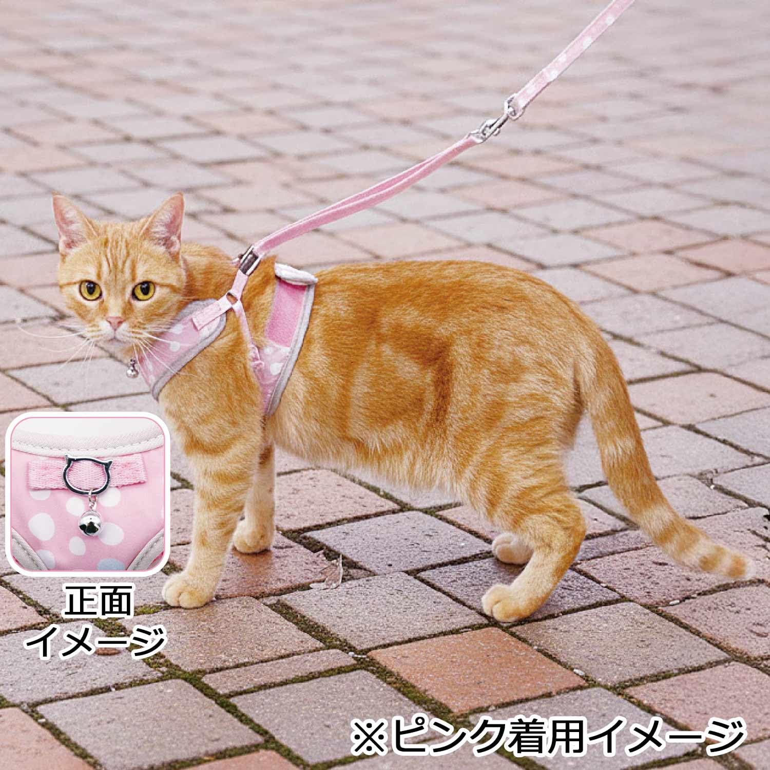 Amazon | キャティーマン (CattyMan) ル・コリエ キャットライフ