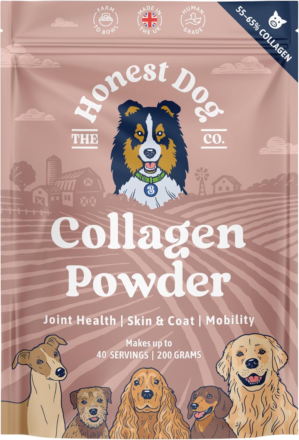 Honest Dog Co. Collagen for Dogs – Joint, Skin & Coat Support – 100% Human-Grade Collagen Powder – Made in UK – Natural Hip & Mobility Supplement – 200g (40+ Servings)