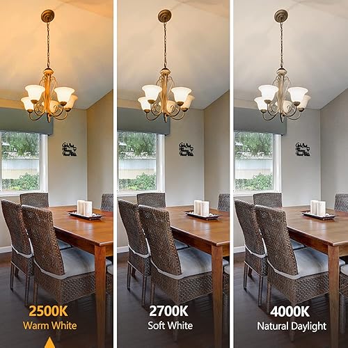 Miniatura 4 de YIMILITE Bombillas LED Edison G80(G25) equivalentes a 60 W, CRI 80+, vidrio transparente blanco cálido de 4000 K, bombillas de filamento LED