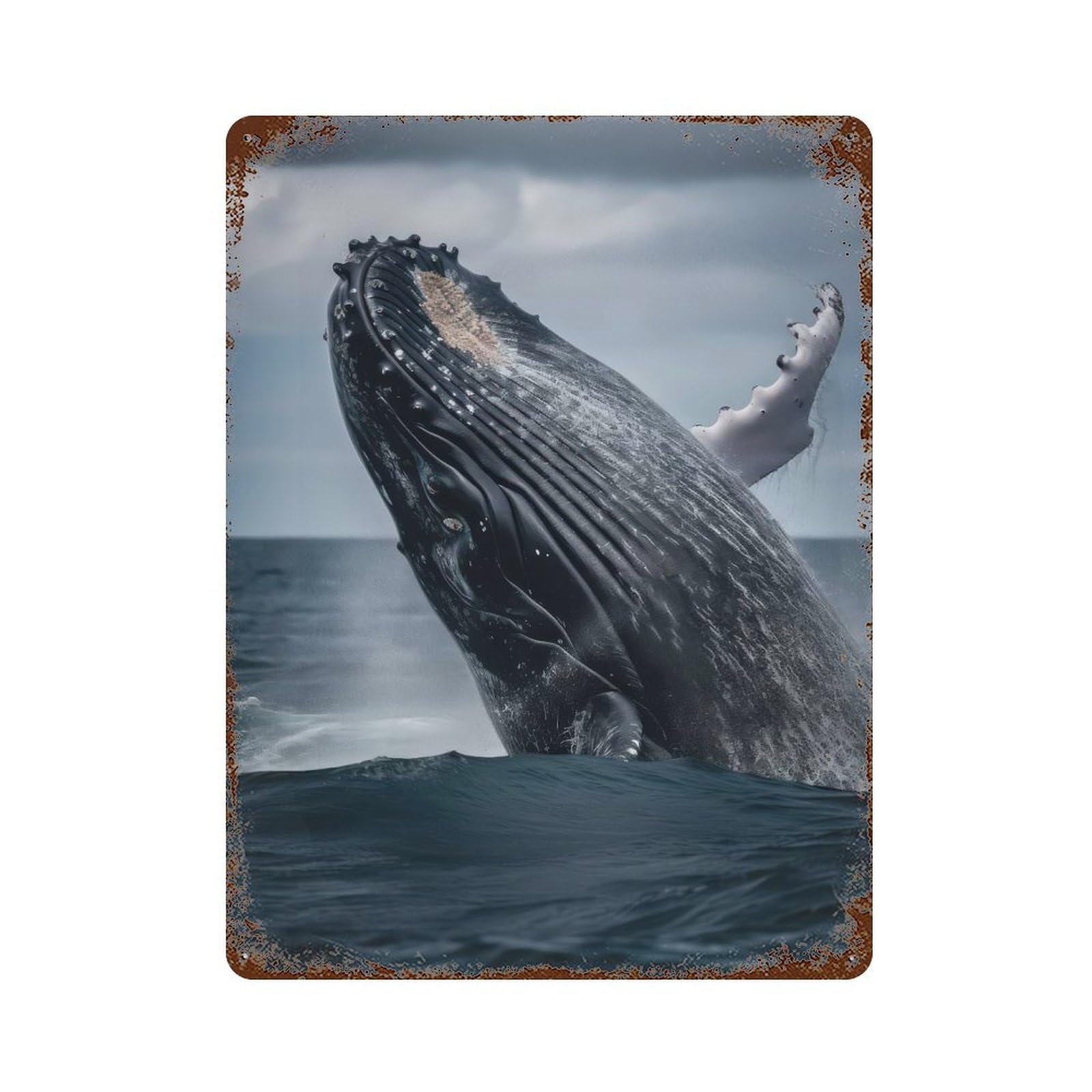 Decorative Tin Sign Beautiful Whale 15.7"x11.8", Decorative Metal Wall Art for Garage, Bar And Workshop Decor