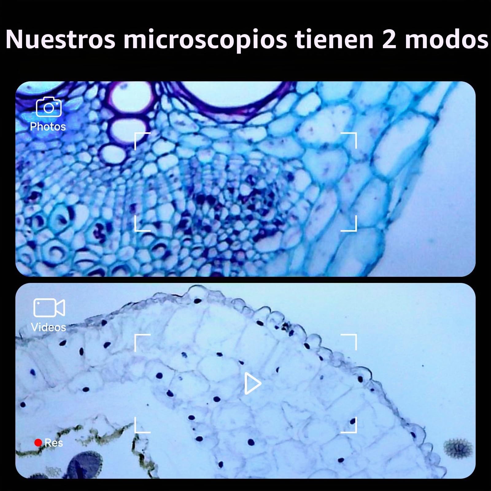 BEAVERLAB Microscopio digital con pantalla IPS de 4 pulgadas, aumento de 1600X, video HD 1080P, 8 luces LED ajustables, compatible con PC, tableta, smartphone, laptop
