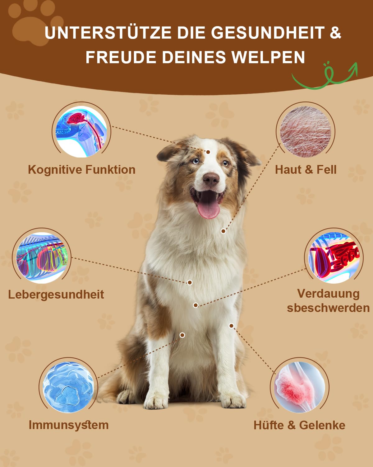 9 en 1 Champignons pour Chiens, Poudre Saveur Poulet | Soutien Digestion, Peau & Pelage, Articulations, Système Immunitaire, avec 9 Champignons