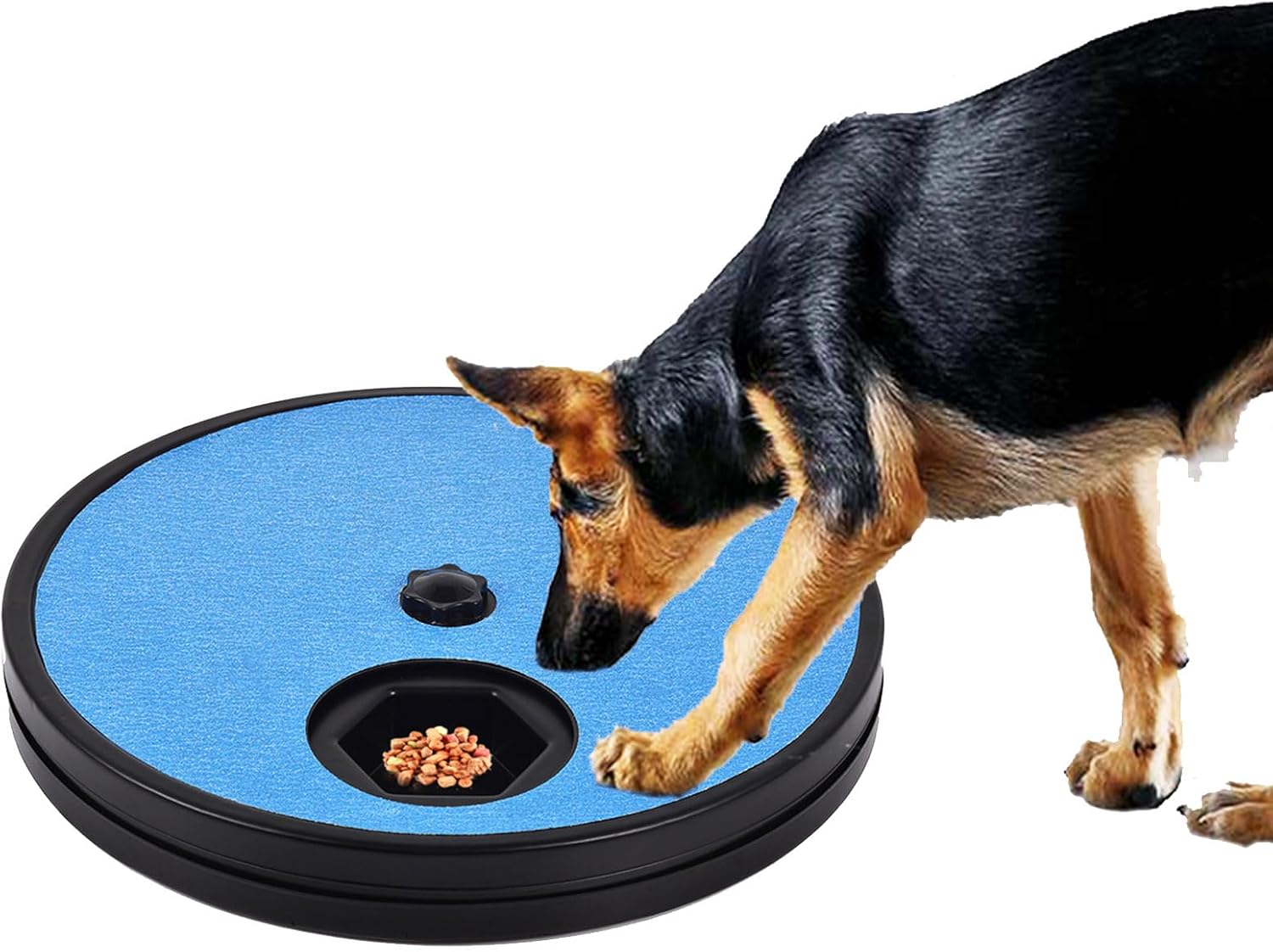 Dogs Scratch Board with Reward Box Indoor Dog Post for Grinding Safe Dog Grooming Scratcher Pad