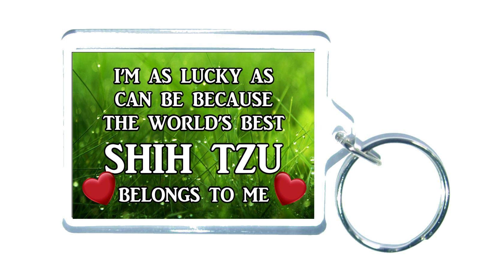 Decalarama Clear Shih Tzu Keyring - I'm As Lucky As Can Be The World's Best – Novelty Gift Present