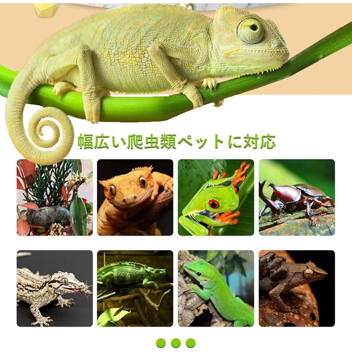 Amazon | REENEW 爬虫類 ケージ (20*20*30cm,ブラック アクリルドア