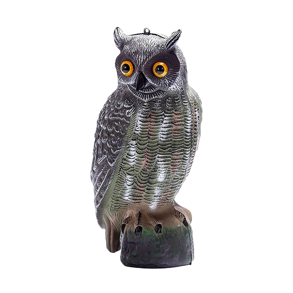 73331セール現品限　外国切手　ポーランド発行猛禽類6種揃フクロウ 73331セール現品限 外国切手 ポーランド発行猛禽類6種揃フクロウ