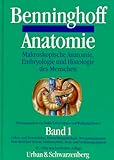 benninghoff anatomie ebook  Anatomie, 2 Bde., Bd.1, Zellenlehre und Gewebelehre, Entwicklungsbiologie, Bewegungsapparat, Herz-Kreislauf-System, Immunsystem, Atemapparat und Verdauungsapparat, 15. völlig neu bearbeitete Auflage.