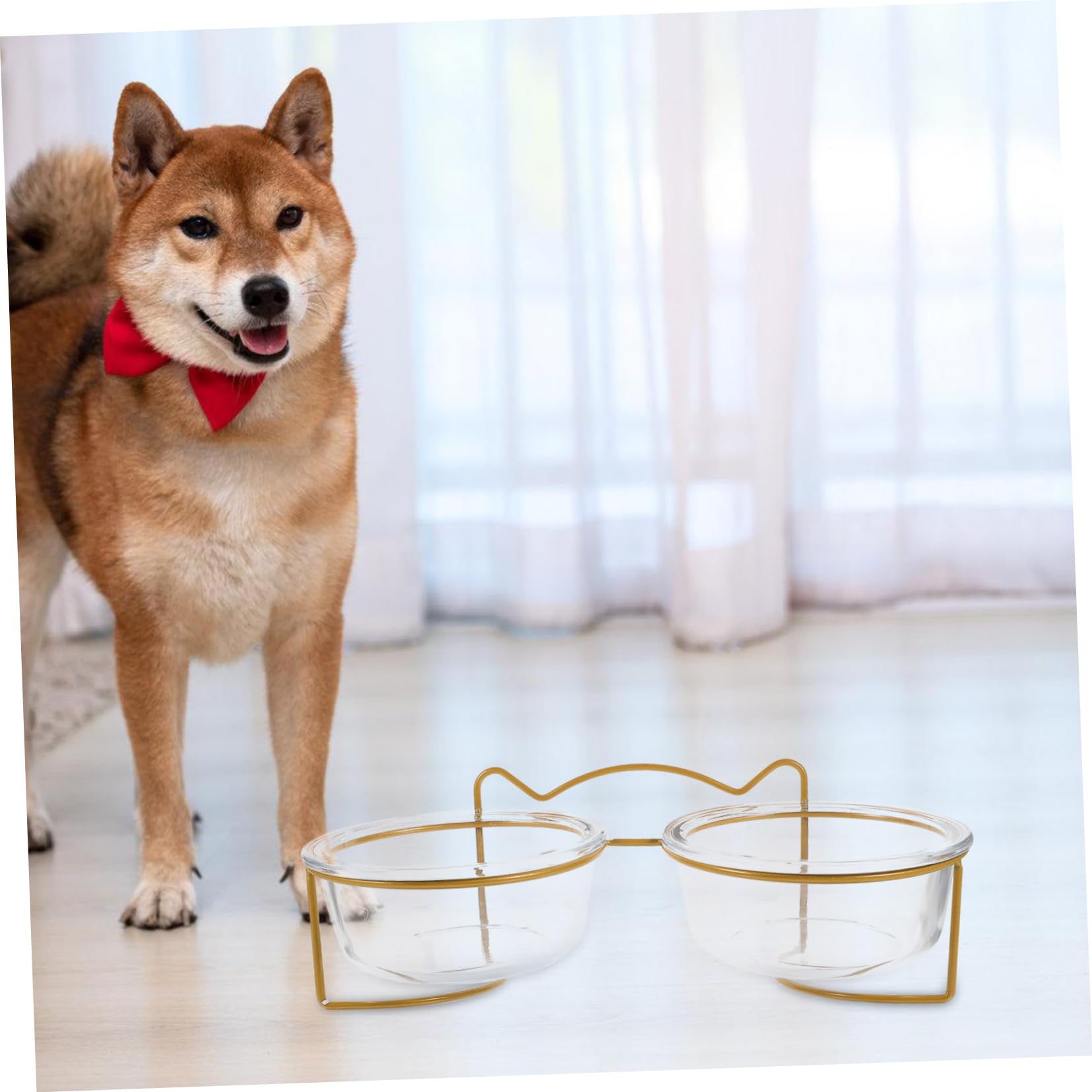 SUPVOX Cuenco Elevado de Vidrio Doble para Perros y Gatos Diseño Inclinado Que Protege el Cuello Mascotas y Estructura Creativa de Metal