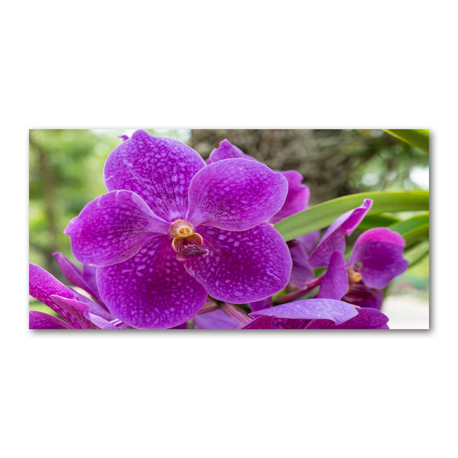Tableau acrylique 140x70cm Tulup image verre plastique déco mural orchidée violette
