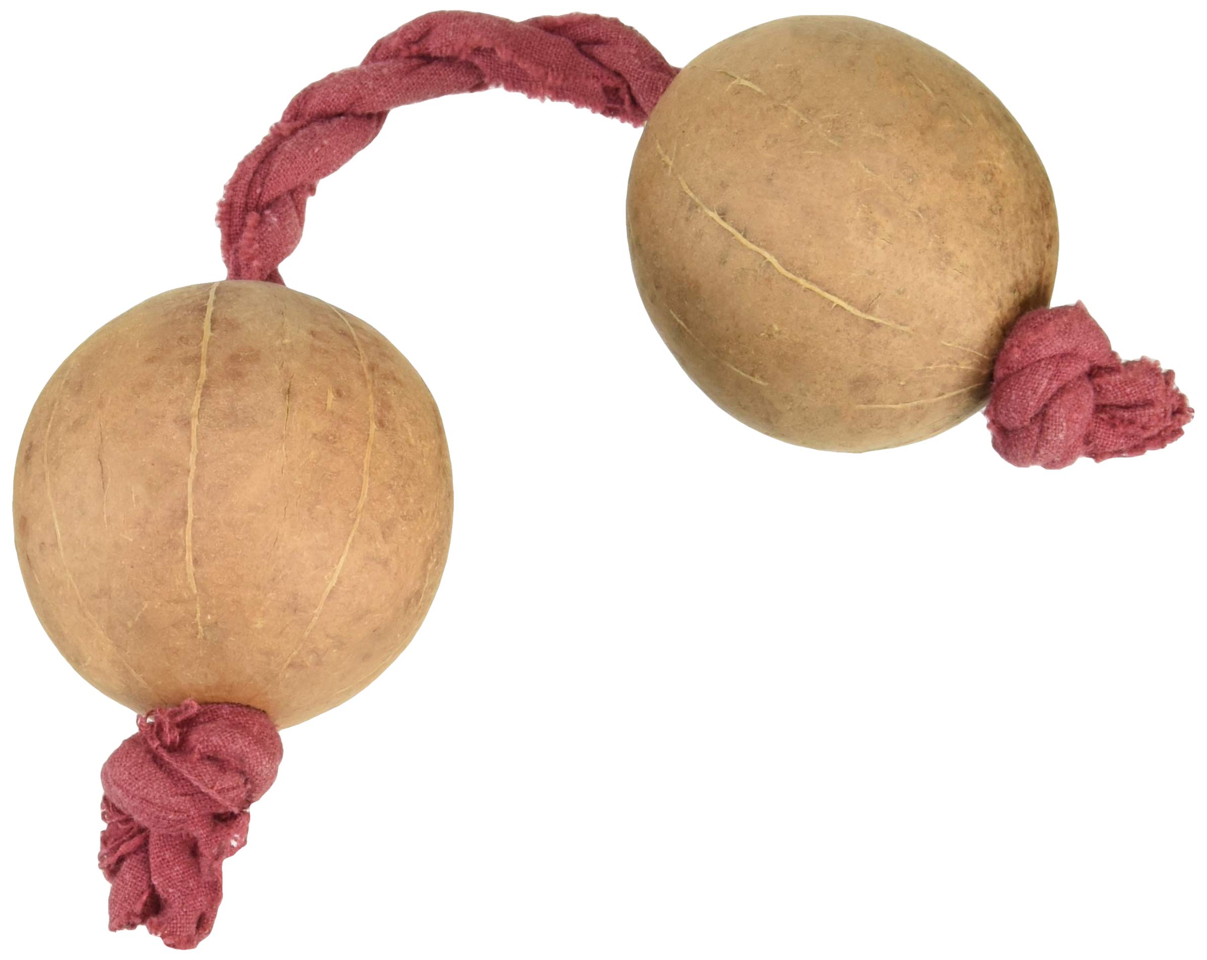 Amazon.co.jp: SOUND KING サウンドキング アサラト AS-756 : 家電＆カメラ