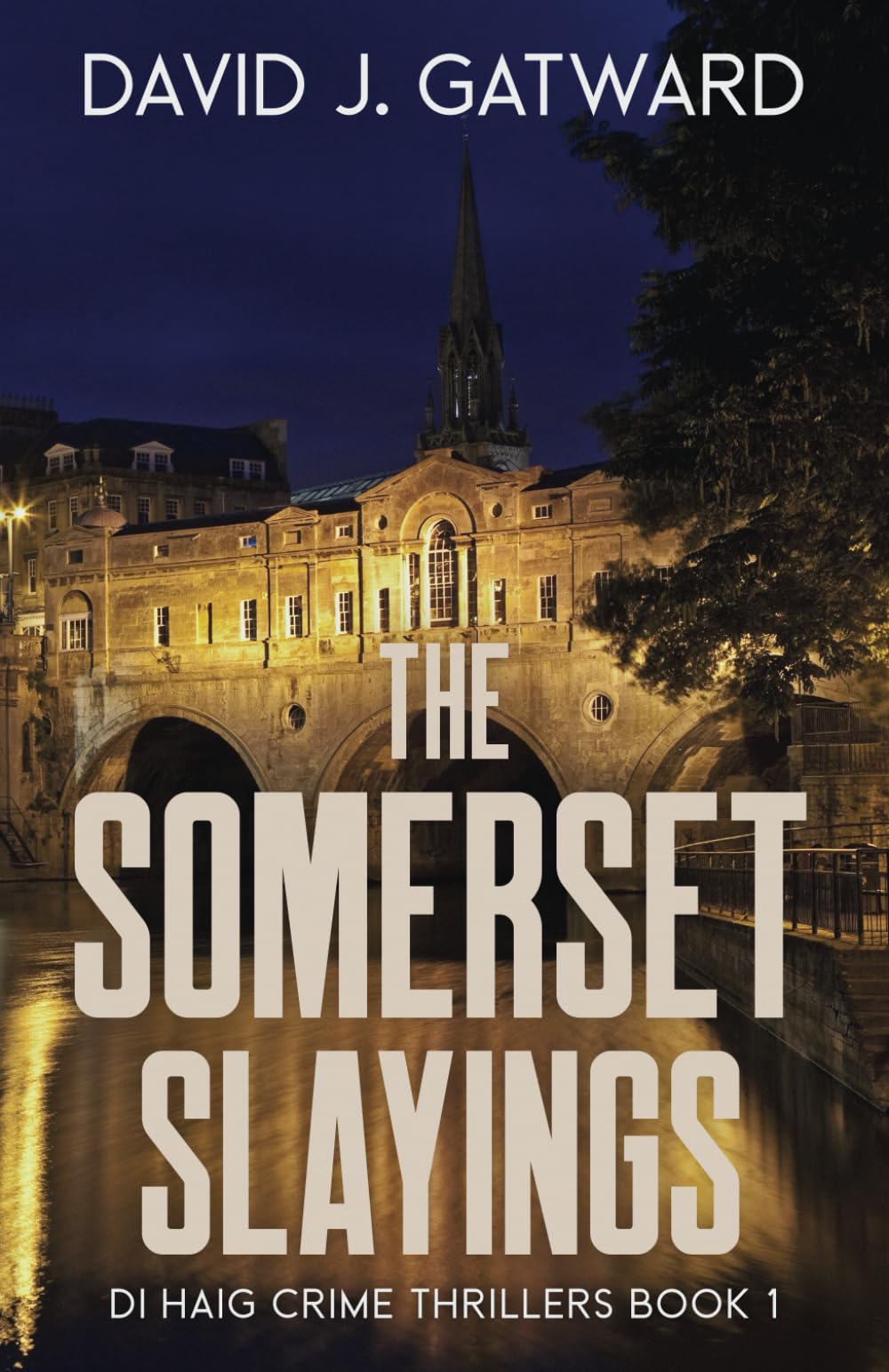 The Somerset Slayings (DI Haig Crime Thrillers)