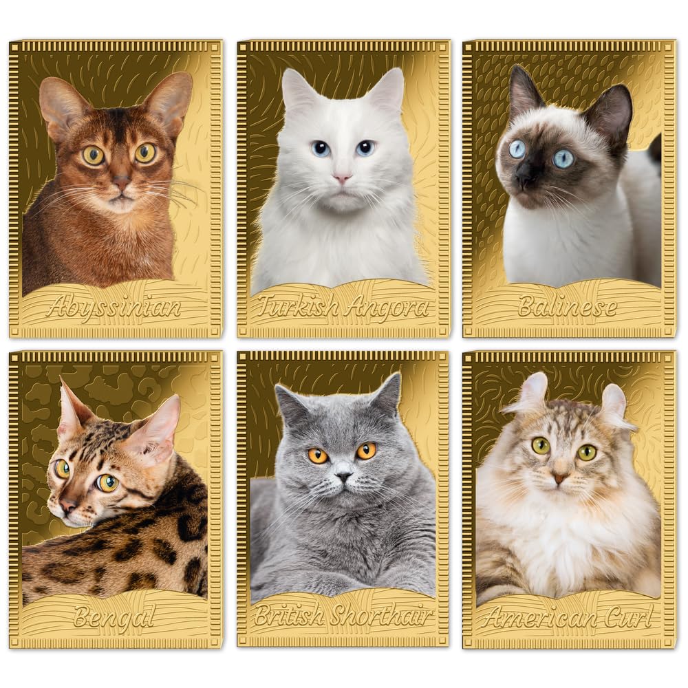 Family Cats - Familienkatzen | Sammelalbum | Komplettset mit 12 Exemplaren | Feingold | Brilliante Farbapplikation | Mit Echtheitszertifikaten