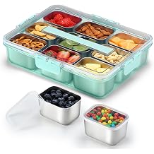 Snackle Box Container, Stainless Steel Snack Containers for Adults, 9 Compartments Divided Serving Tray with Lids and Handle, Portable Snack Platter for Parties, Green