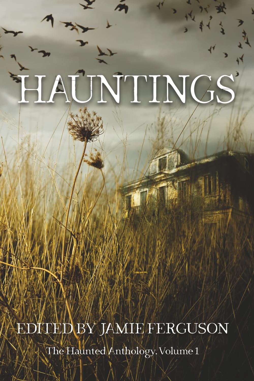 Hauntings (The Haunted Anthology)