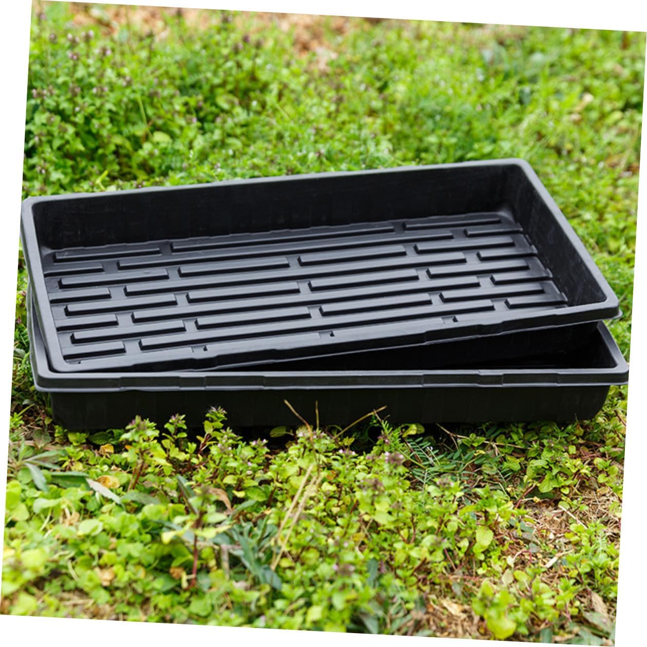 3pcs Thickened Black Plastic Plant Nursery Trays 1.8mm Germination Starter Trays for Indoor Vegetable Seedling Growing and Sprouting