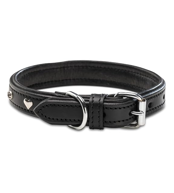 Foto 3 de 8 de Jack & Russell Collar para perro de piel negra con apliques de corazón y flor, doble capa de cuero auténtico…