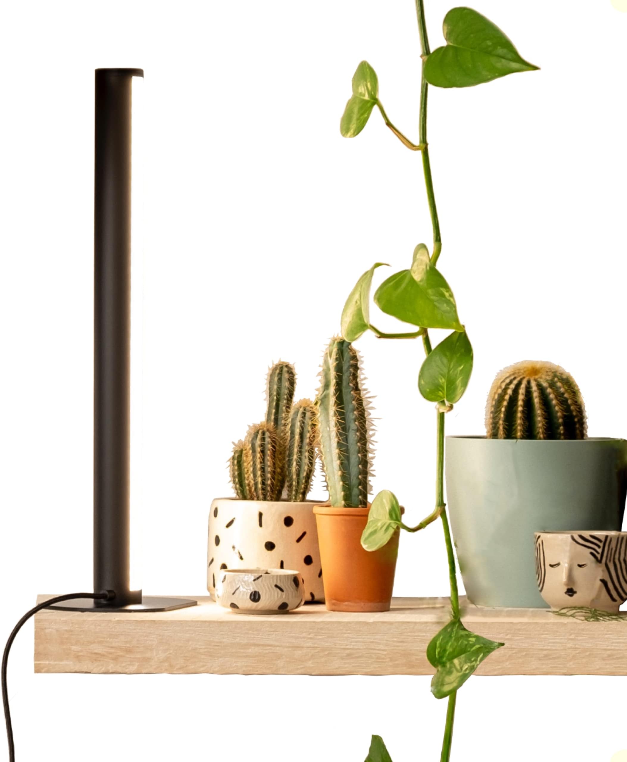 MOTHER PlantSpectrum16 Grow Light, Full Spectrum LED Plant Growing Lamp 16Watt for Indoor Plants.