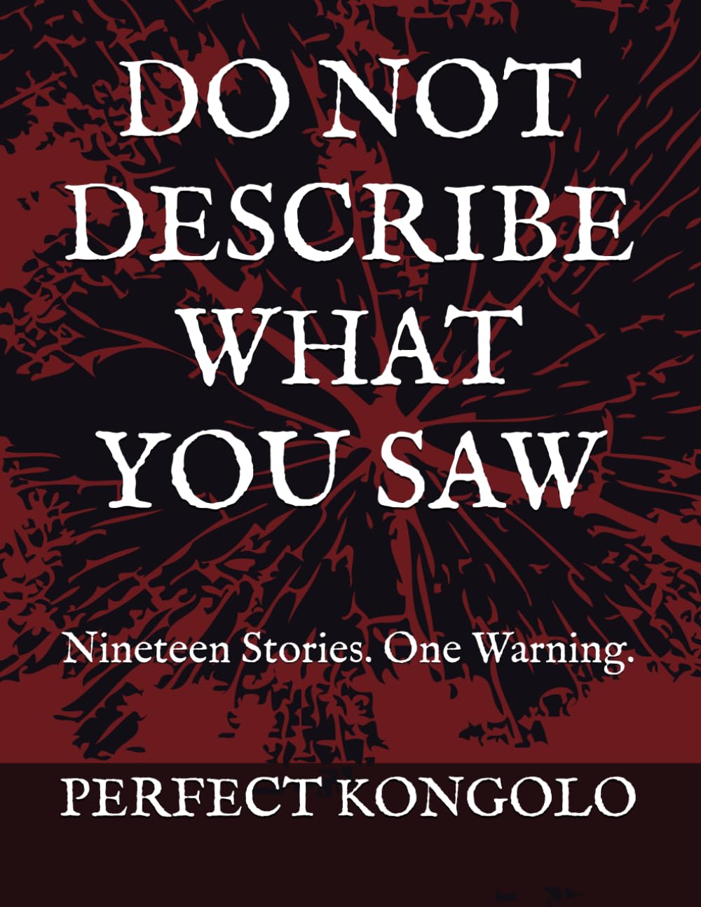 DO NOT DESCRIBE WHAT YOU SAW: Nineteen Stories. One Warning.