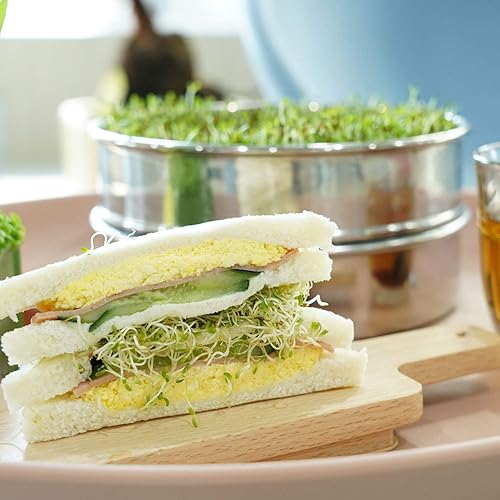 Miniatura 5 de SOLIGT Kit apilable de germinación de semillas de acero inoxidable, bandejas de germinación de malla de 2 niveles, 1 base y 1 tapa de cubierta