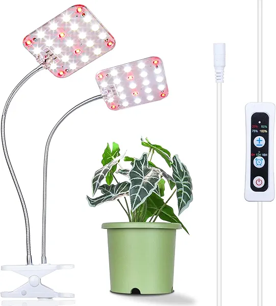 DOMMIA Plant Light, Dimmable Desk Clip on Plant Light for Indoor Plants with 6/12/16h Timer, Gooseneck Grow Lamps, Full Spectrum for Seeding, Succulent, Potted Plants, 2-Head