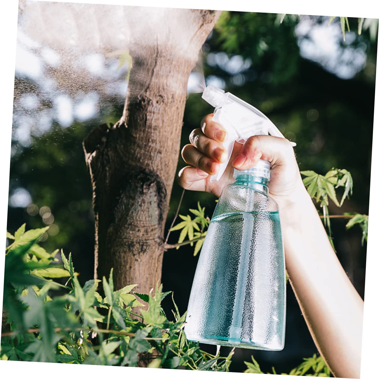 BESTonZON 2 Ensembles Bouteilles Spray Plastique Pour Arrosage De Plantes Pulvérisateur De Jardin Couleurs Aléatoires Couleur Aléatoire 5 Pièces * 2