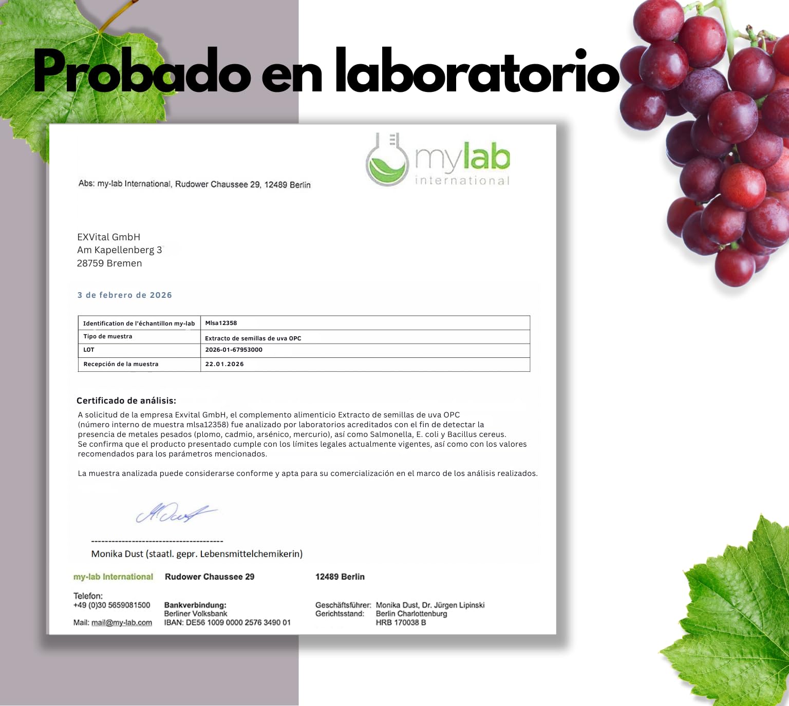 EXVital® OPC Extracto de semilla de uva - 240 cápsulas - alta dosis de 500 mg por cápsula - procedente de uvas francesas - probado en laboratorio y vegano