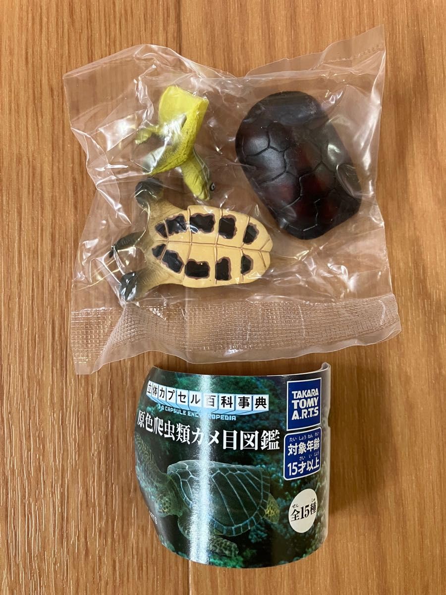 亀ページ タカラトミーアーツ 立体カプセル百科事典 原色爬虫類カメ目図鑑