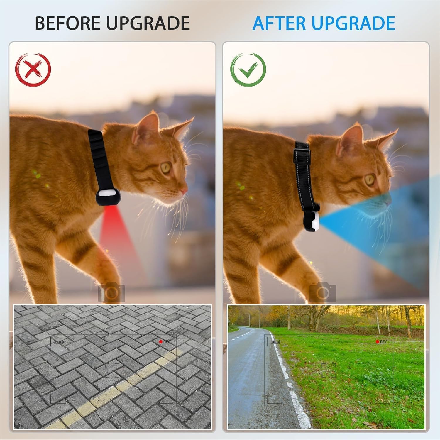 Collier de caméra pour chat 32 G HD 1080P pour chien avec carte SD