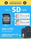 Nextorage Japan SD Card UHS-II 128GB 2-Pack Memory Card Canon Nikon Sony gallery image