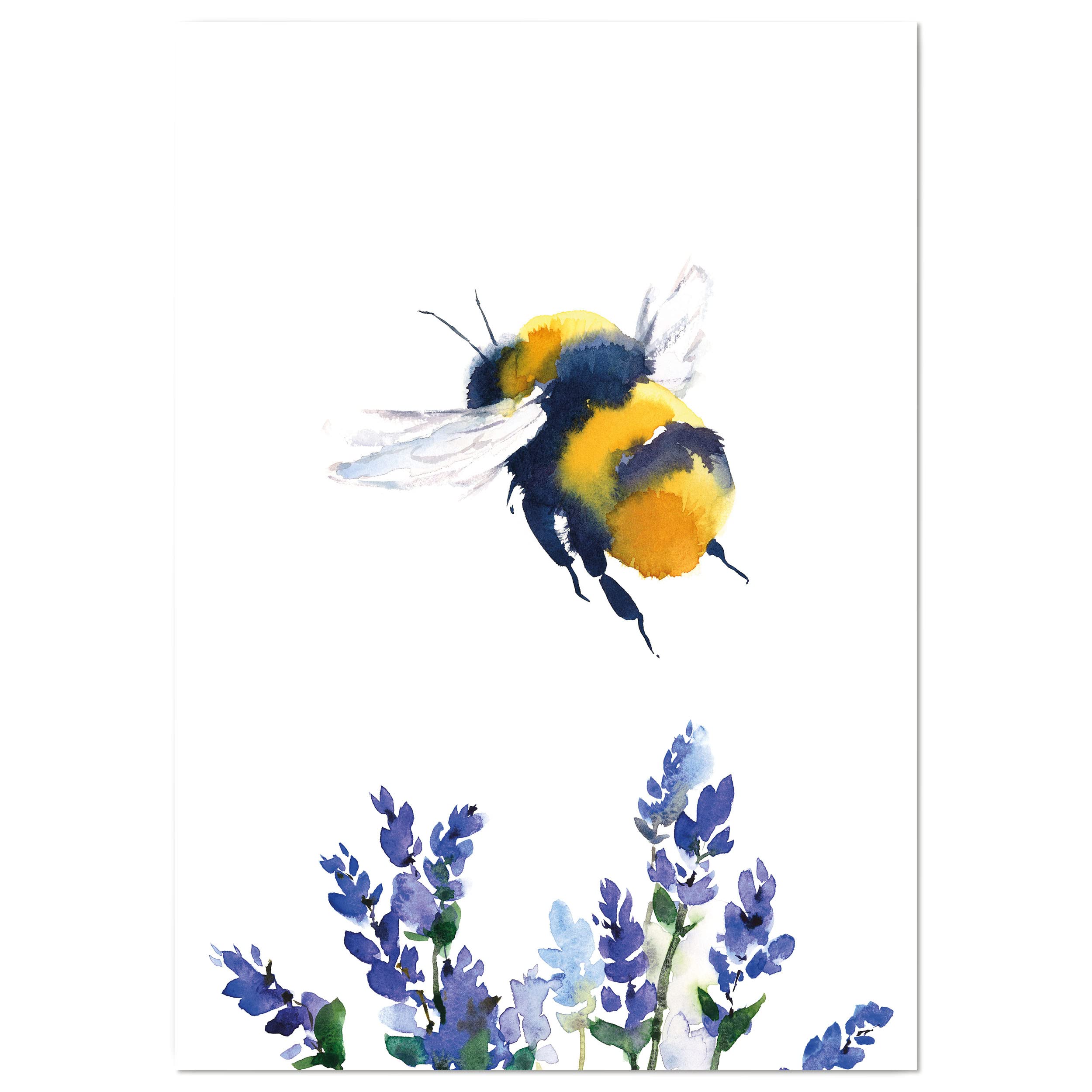 The Heritage Press Watercolour British Wildlife Wall Art Picture Print - Bumble Bee over lavender - Size A4