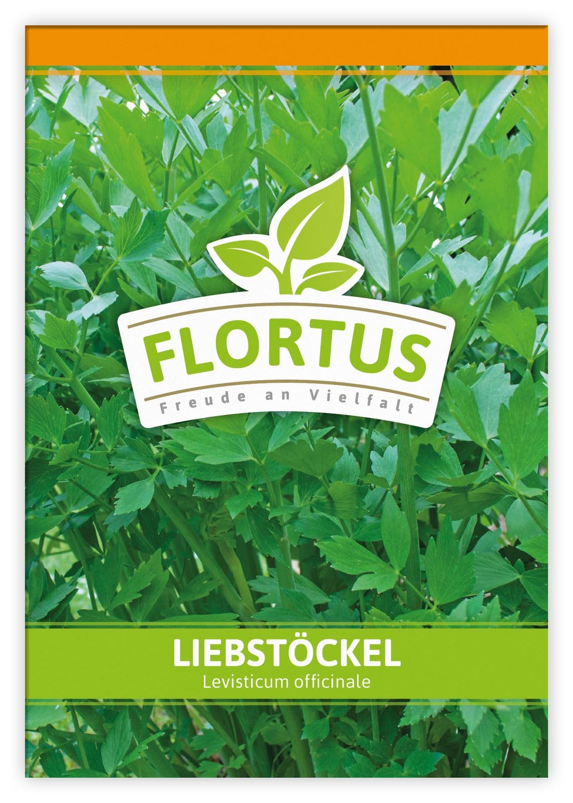 FLORTUS 2000-0052-100x Liebstöckel (100 Tütchen) (Liebstöckelsamen)