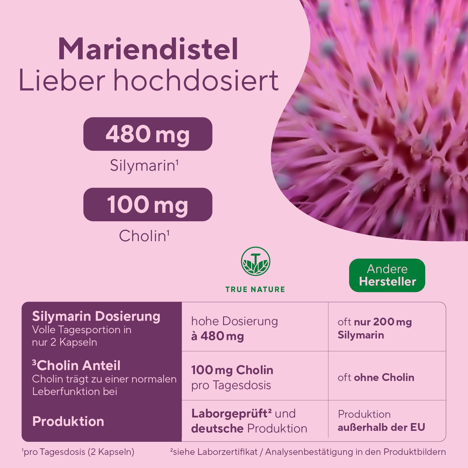 Mariendistel Leber Komplex - Testsieger-Online 11/25 - 180 Kapseln - 480mg Silymarin - Mariendistel, Artischocke, Löwenzahn, Cholin trägt zur Erhaltung einer normalen Leberfunktion bei - TRUE NATURE
